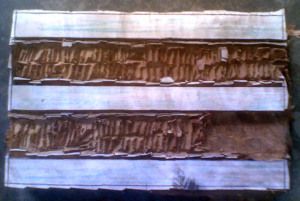 Wooden Carving around tracing