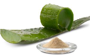 Aloe Vera Extract