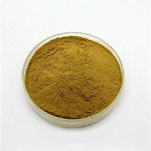 Bacopa Monnieri Extract