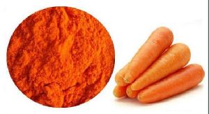 carrot extract powder