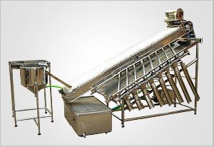 Automatic Grading Filth Washing Machine with Front Feeder Conveyor