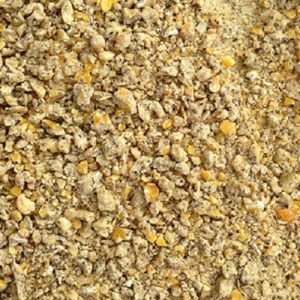 Maize Cattle Feed