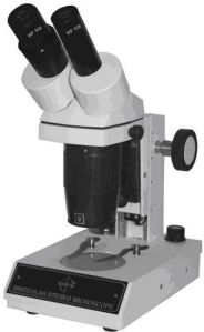 Stereo Microscopes