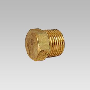 Brass Pipe Fittings