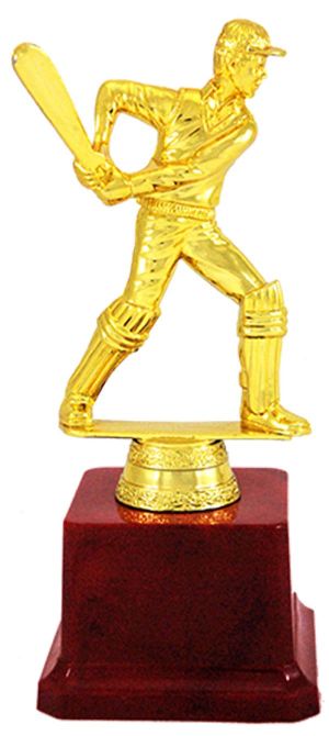 Batsman Fiber Trophy