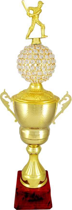 Imported China Trophies