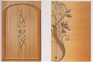 Designer Laminated Door