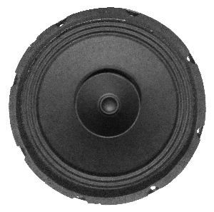 8 Inch PA System Speakers