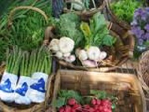 Organic Food Basics