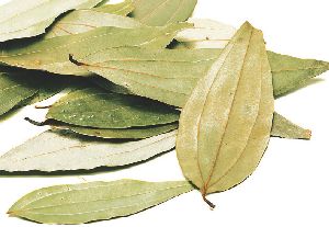 Bay Leaves