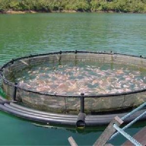 Aquaculture Shade Net