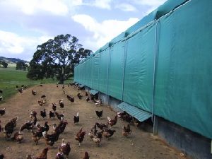 Poultry Shade Net