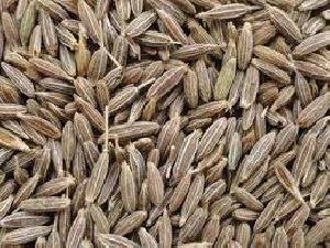 Cumin Seeds (Zeera)