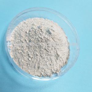 Bleaching Earth Powder