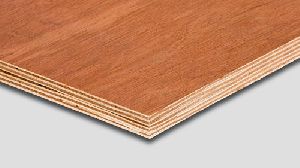 Plywood Boards