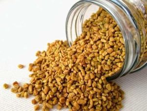 Fenugreek