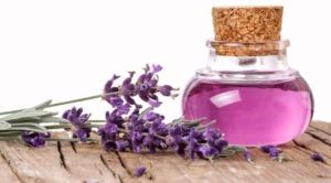 Lavender Oil