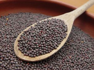 Mustard Seeds