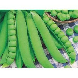 GS 10 Green Peas
