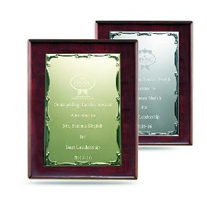 Customized Frame Award