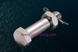 Stainless Steel Shackle Bolt