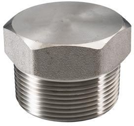 Stainless Steel Fitting Plug