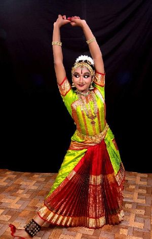 Bharatanatyam Dance Costume 01