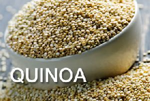 500 gm Quinoa Seed