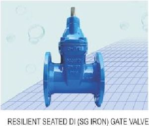 Resilient seated di Gate Valve