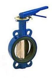 Butterfly Valve