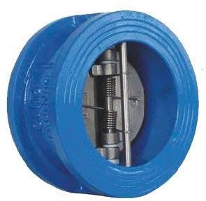 Dual Plate Check Valve