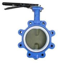 Butterfly Valve