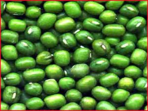 Green Moong Beans