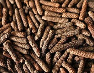 Long Pepper