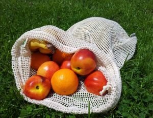 Organic Cotton Mesh Bags