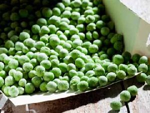 PACKED GREEN PEAS
