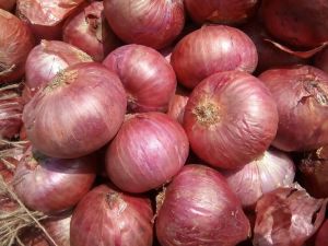 Fresh Onions