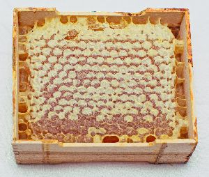 Honey Comb