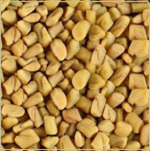 Fenugreek Seeds