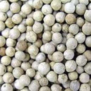 White Pepper