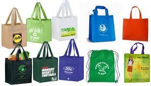 Printed Non Woven Carry Bags