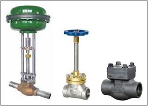 Cryogenic Valves