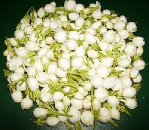 Madurai Jasmine Flower