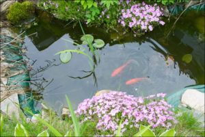 Epdm Pond Liner