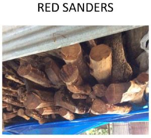 Red Sanders Wood