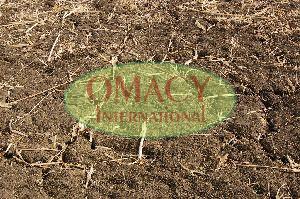 Crop Recycle Fertilizer