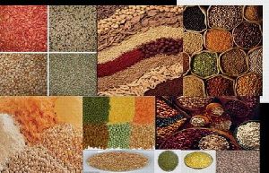 Spices, Grain, Pulses.