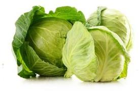 Cabbage