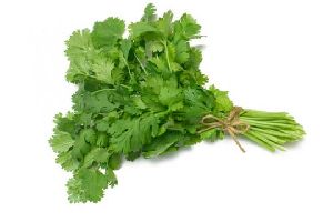 Coriander Leaves