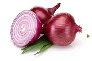 Onion